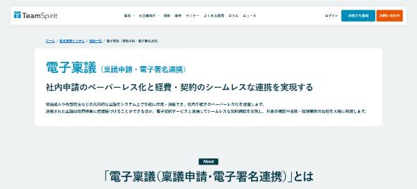 TeamSpiritキャプチャ